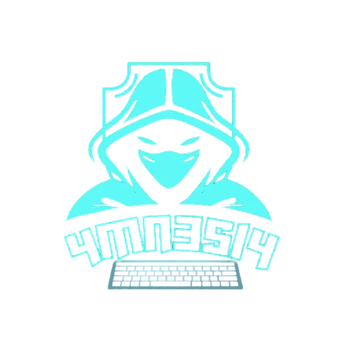 4mN3s14 | CTF Player & Student